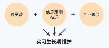 博世 3.jpg